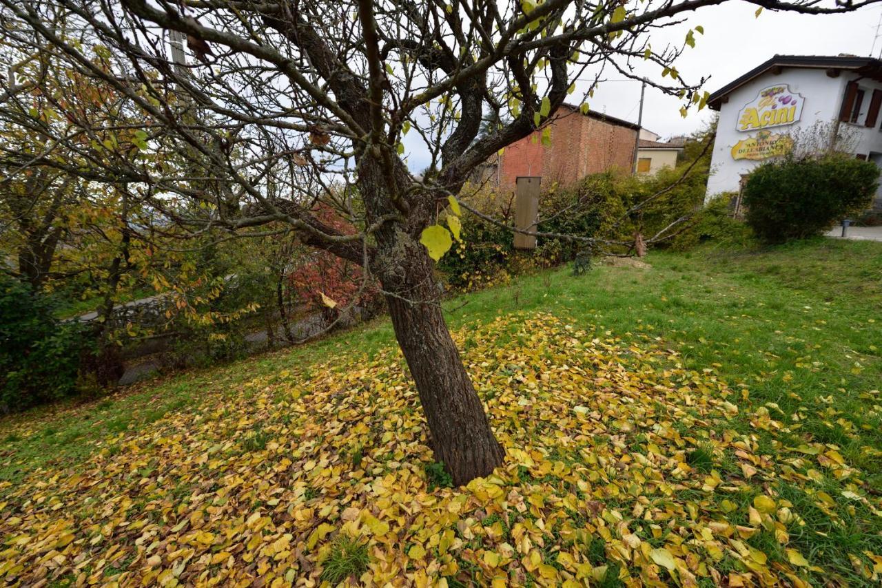 Bed and Breakfast Gli Acini Pietra dei Giorgi Exteriér fotografie