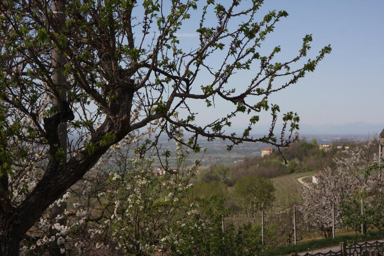Bed and Breakfast Gli Acini Pietra dei Giorgi Exteriér fotografie